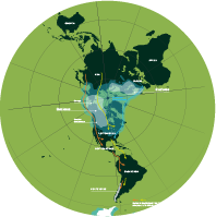 300,000–70,000 years ago